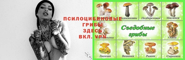гашик Абдулино
