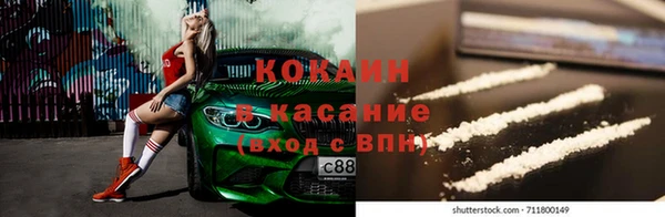 хмурый Абаза