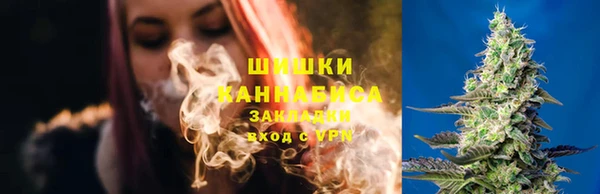 ПСИЛОЦИБИНОВЫЕ ГРИБЫ Алексеевка