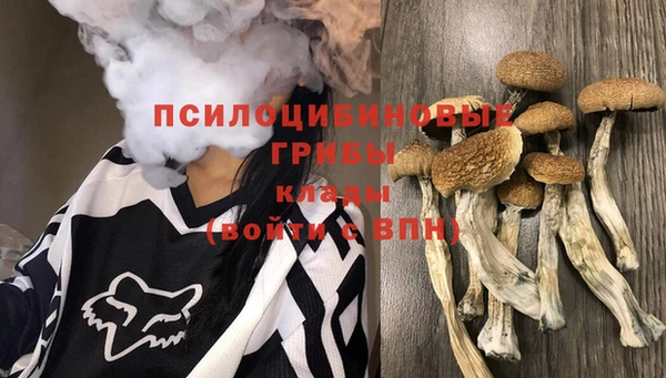 хмурый Абаза