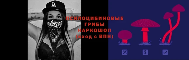 ПСИЛОЦИБИНОВЫЕ ГРИБЫ Алексеевка