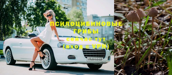 хмурый Абаза