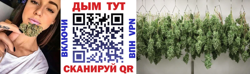 Бошки Шишки VHQ  Астрахань 